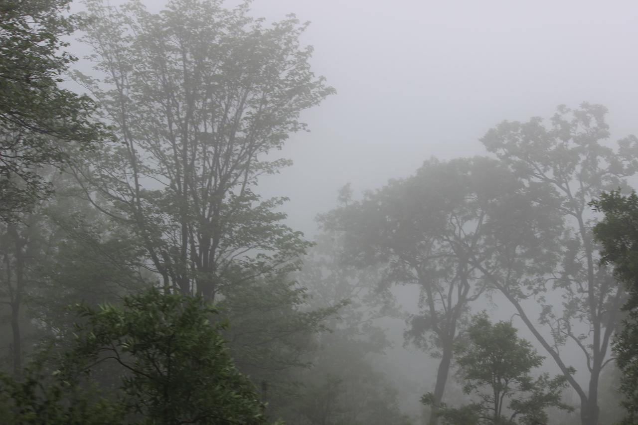 The Residency Bed and Breakfast Amarkantak Buitenkant foto